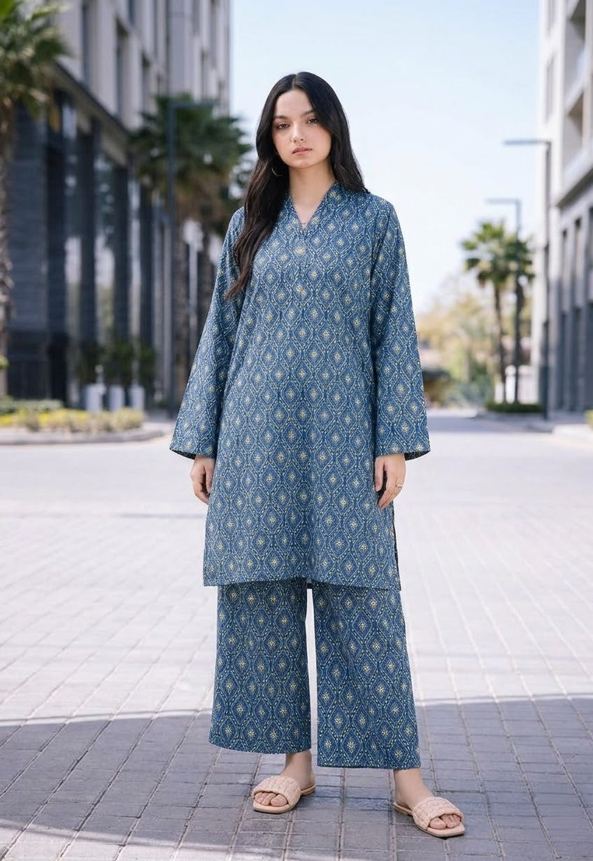 2 Pcs Co-Ord Set EX-012