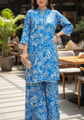 2 Pcs Co-Ord Set EX-011